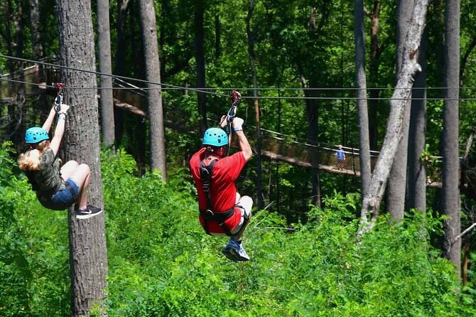 Day Trip to Kereita Forest and Ziplining - The Carbacid Forest Gate walk: bubbling gas, river valleys, Elephant Pool