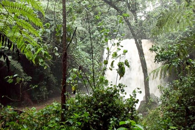 Day Trip to Kereita Forest and Ziplining - Ziplining is optional, so budget like a grown-up
