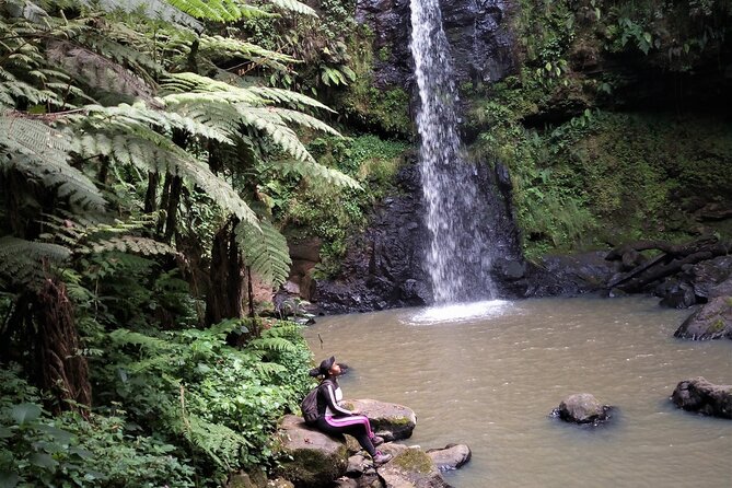 Day Trip to Kereita Forest and Ziplining - The Mau Mau era and the hard truth you should know