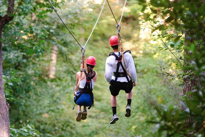 Day Trip to Kereita Forest and Ziplining - Nairobi pickup and the day’s timing that sets expectations