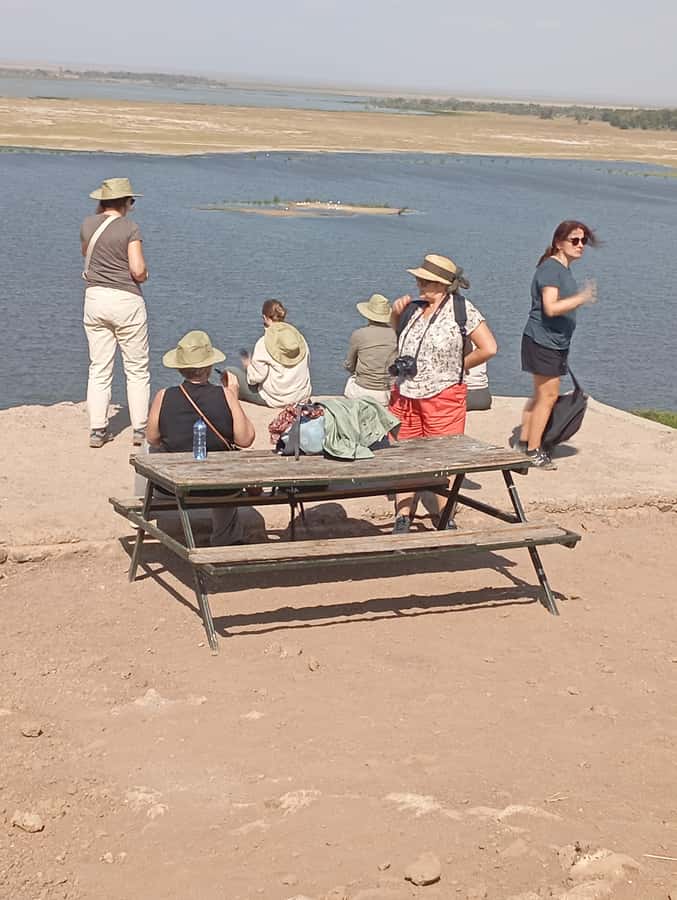 Day Trip to Lake Nakuru National Park from Nairobi - Picnic lunch inside the park: keeping the day moving