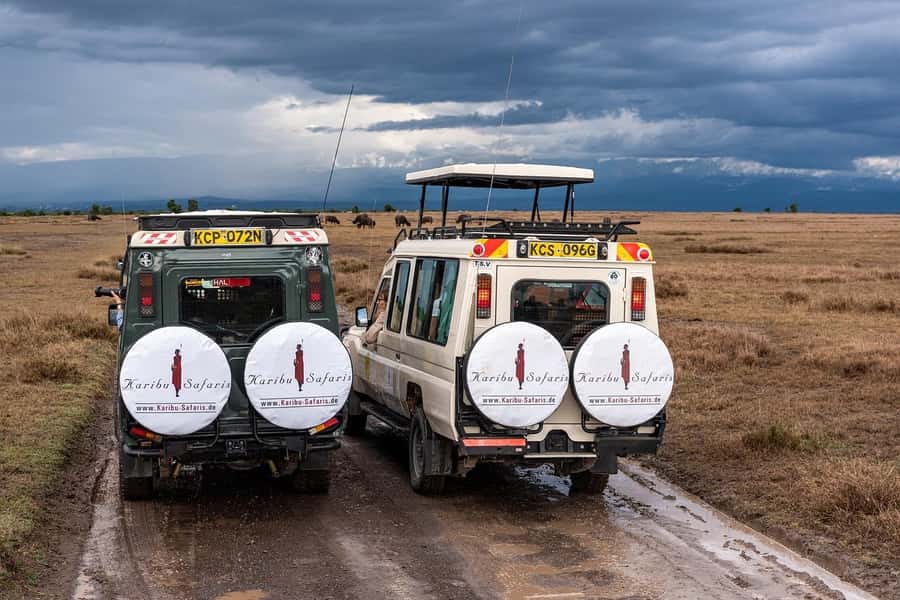 Day Trip to Lake Nakuru National Park from Nairobi - Price and entry fees: what $175 really buys you