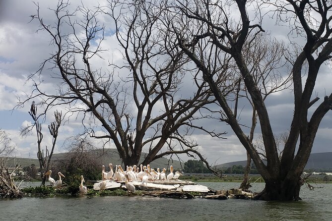Day Trip to Mt. Longonot with Boat Ride in Lake Naivasha - Who this day trip fits best, and who should think twice