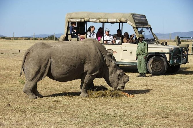 Day trip to Ol Pejeta conservancy from Nairobi - Leaving Nairobi: the drive, the vehicle, and the rhythm of the day