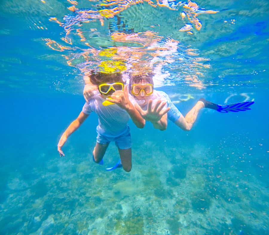 Dhow Adventure to Wasini Island & Kisite Marine Park - Wasini Island lunch and village walk: local food and island pacing