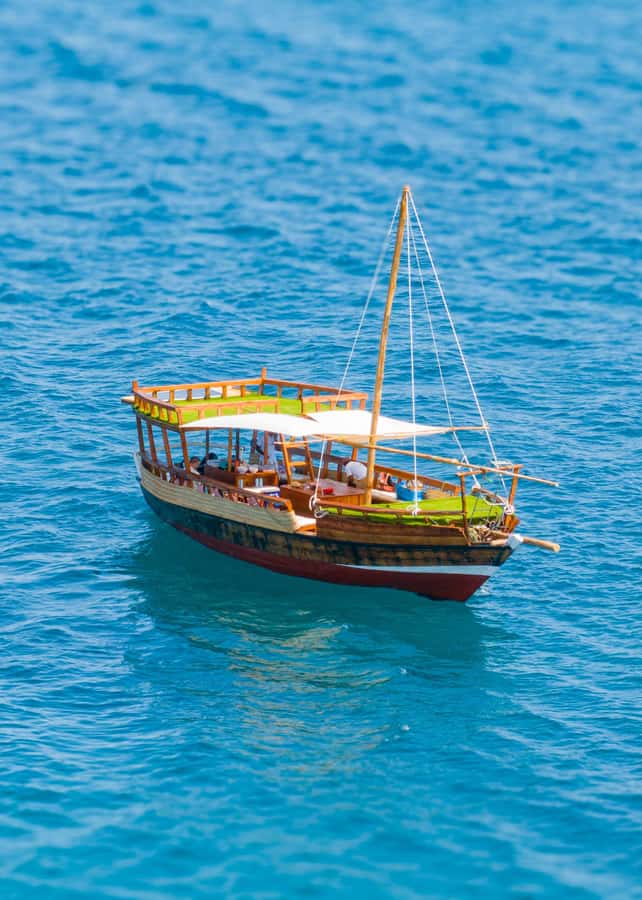 Dhow Adventure to Wasini Island & Kisite Marine Park - Timing reality check: why 9 hours can feel longer