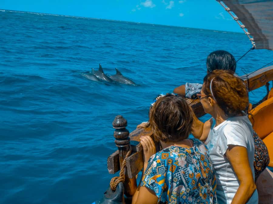 Dhow Adventure to Wasini Island & Kisite Marine Park - Who should book (and who should skip)