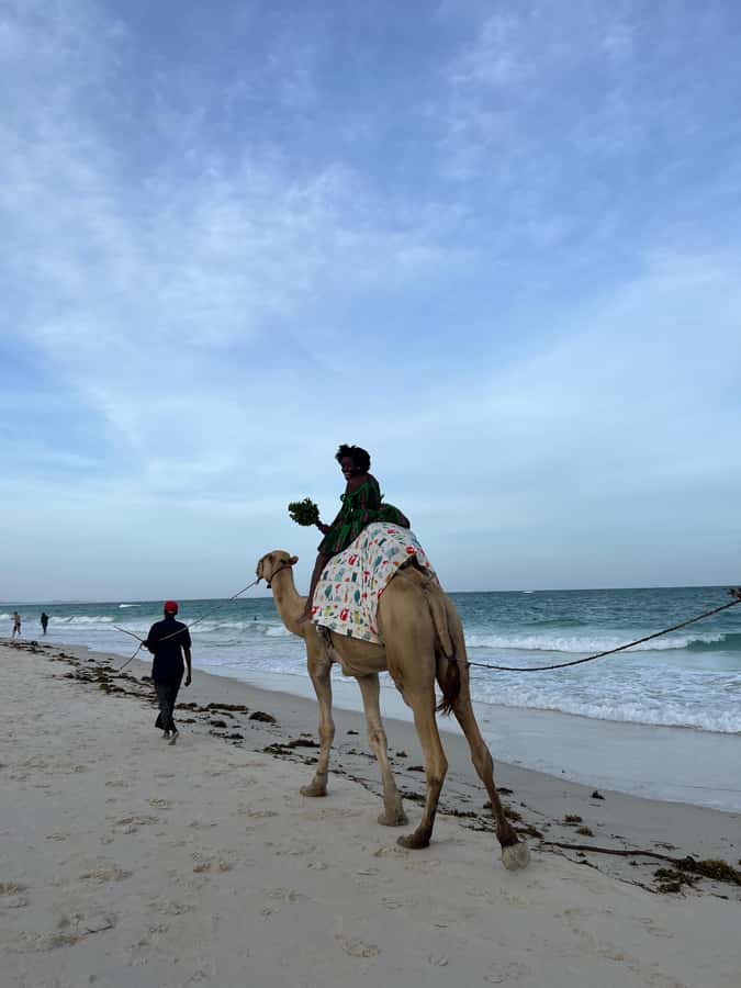 DIANI: BEACH CAMEL RIDE - Meeting at Kongo Mosque: Simple Start, Clearer Planning