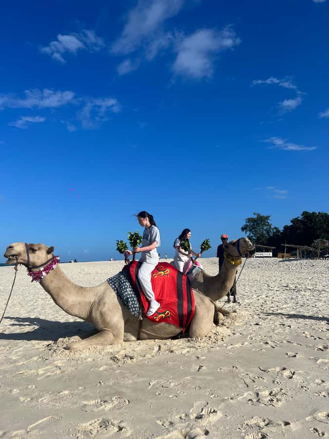 DIANI: BEACH CAMEL RIDE - The 30-Minute Camel Ride on Diani Beach: Calm Motion and Big Views