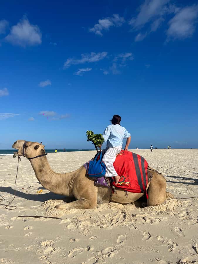 DIANI: BEACH CAMEL RIDE - Getting On and Off Without Stress: Why the Crew Matters