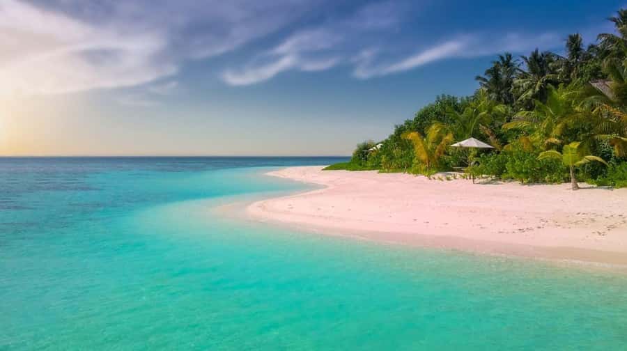Diani Beach: Funzi Island Day Trip with Lunch - Key things to know before you go