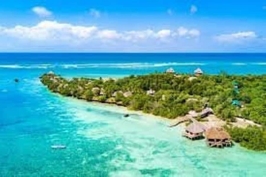 Diani Beach: Funzi Island Day Trip with Lunch - From Diani Beach To Bodo: The Morning Drive