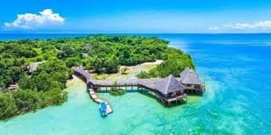 Diani Beach: Funzi Island Day Trip with Lunch - Price and Logistics: When the Day Feels Worth It