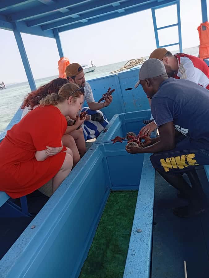 Diani Beach: Glass-Bottom Boat Cruise to Robinson Island - Key highlights to know before you go