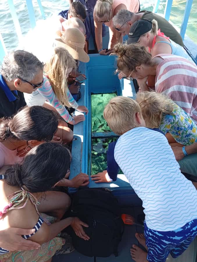 Diani Beach: Glass-Bottom Boat Cruise to Robinson Island - The captain underwater show, and why the rules matter