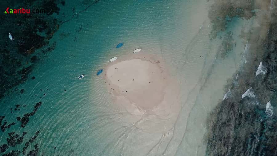 Diani Beach: Glass-Bottom Boat Cruise to Robinson Island - Snorkeling at Diani, with real help for beginners
