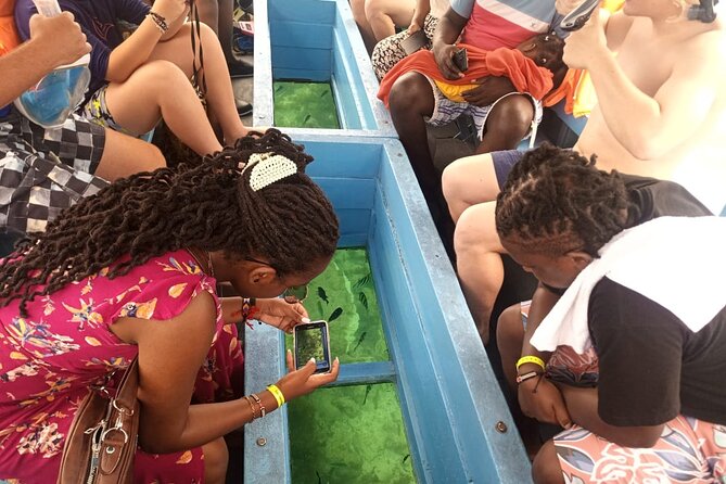 Diani Beach: Glass-bottom Boat Ride with Underwater Show - Key Things I’d Mark on Your Must-Do List
