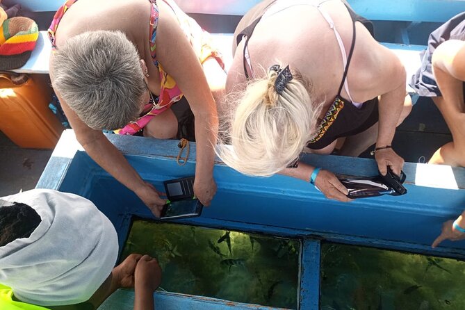 Diani Beach: Glass-bottom Boat Ride with Underwater Show - Getting There: Tuktuk Pickup and a Simple Start from Diani