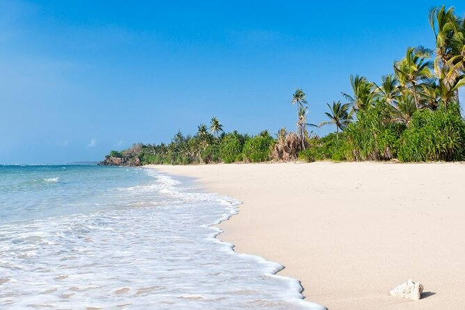 Diani Beach: Glass-bottom Boat Ride with Underwater Show - Roof Views, Snorkeling Gear, and Staying Comfortable for 4 Hours