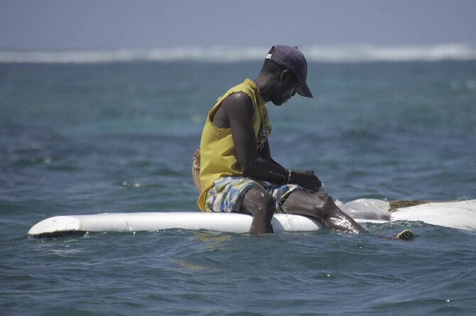 Diani Beach: Glass-bottom Boat Ride with Underwater Show - Sandbank Time: 45 Minutes on Shore (and a Chance to Celebrate)