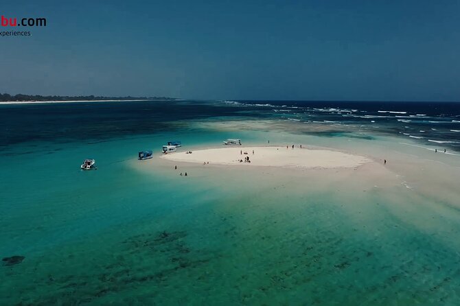 Diani Beach: Glass-bottom Boat Ride with Underwater Show - Who Should Book This Tour (and Who Might Skip It)