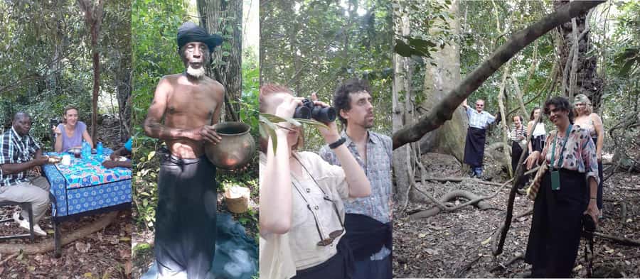 Diani Beach: Kaya Kinondo cultural and nature experience - Tree species, fauna, and how guides translate local knowledge