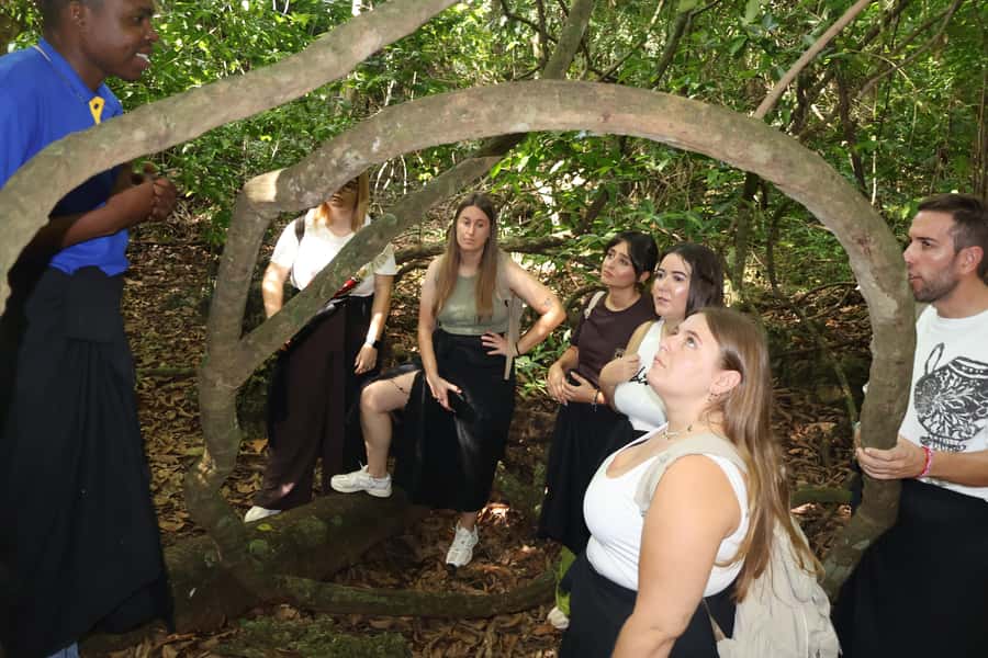 Diani Beach: Kaya Kinondo cultural and nature experience - Moving to the village: tea, a healer, and a short dance performance