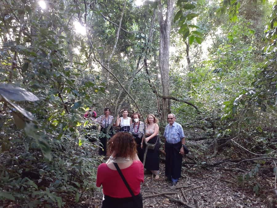 Diani Beach: Kaya Kinondo cultural and nature experience - What is included, and what you should plan for