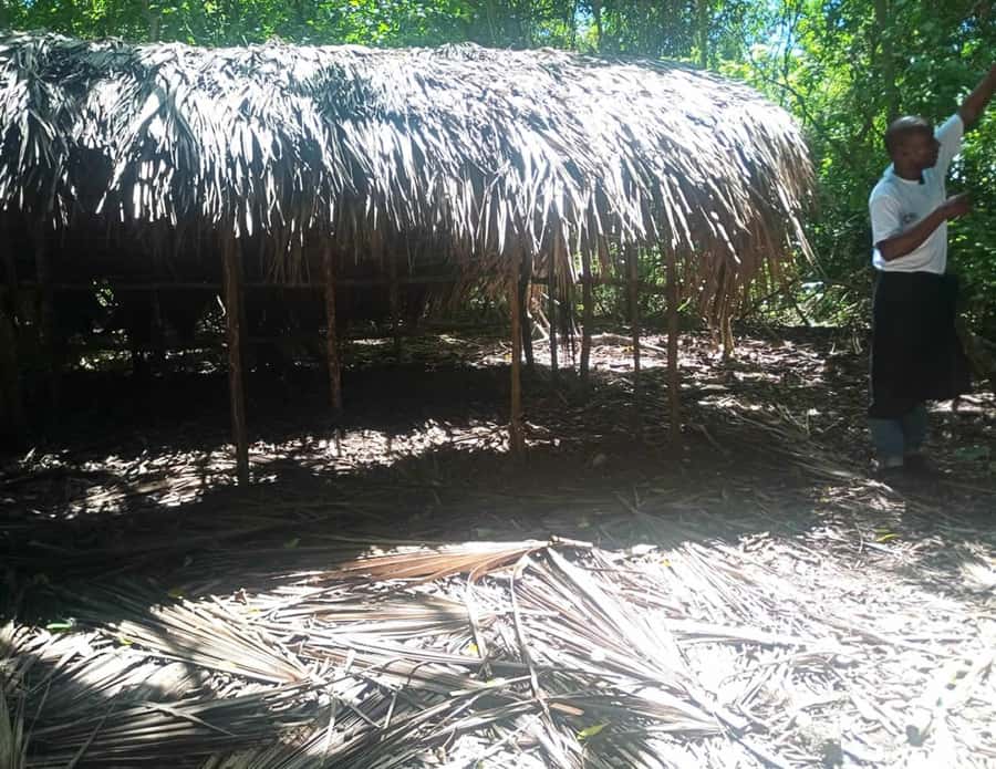 Diani Beach: Kaya Kinondo cultural and nature experience - Who this tour is for, and who should skip it