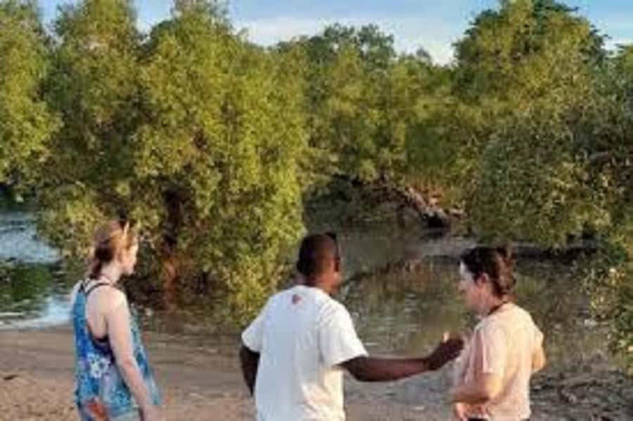 Diani Beach: Kongo River Estuary Sundowner Boat Tour - Canoe Time on the Estuary: Mangroves and Birds Over Big-Group Noise