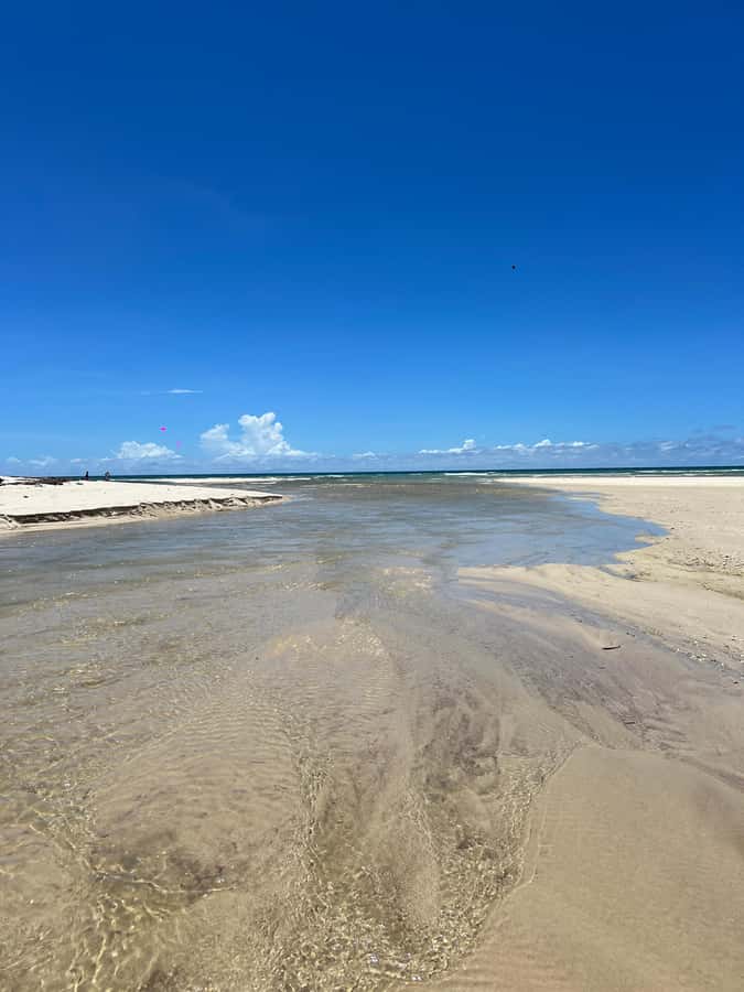 Diani Beach: Private African Pool Map Guided Tour - The shore walk to the African Pool: caves, cliffs, and rock-pool life