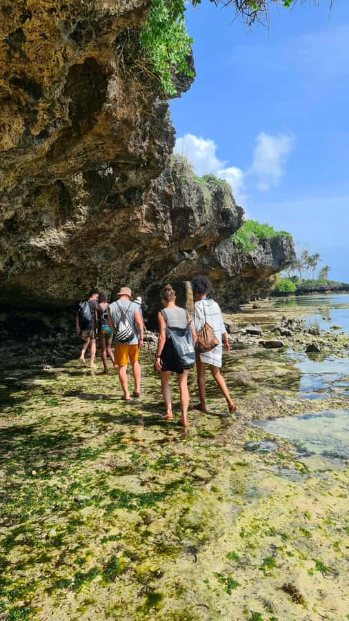 Diani Beach: Private African Pool Map Guided Tour - Price and time: why $35 for three hours can feel fair