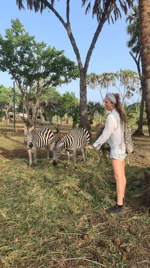 DIANI: SHARE A MEAL WITH GIRAFFES - Price in Diani: what $250 includes, and what can make or break value