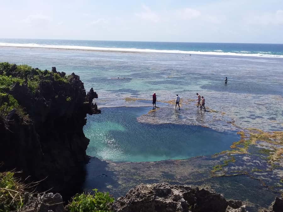 Diani: Snorkeling and Swimming at African Pool in Tiwi Beach - Price and timing: does $35 per person make sense?