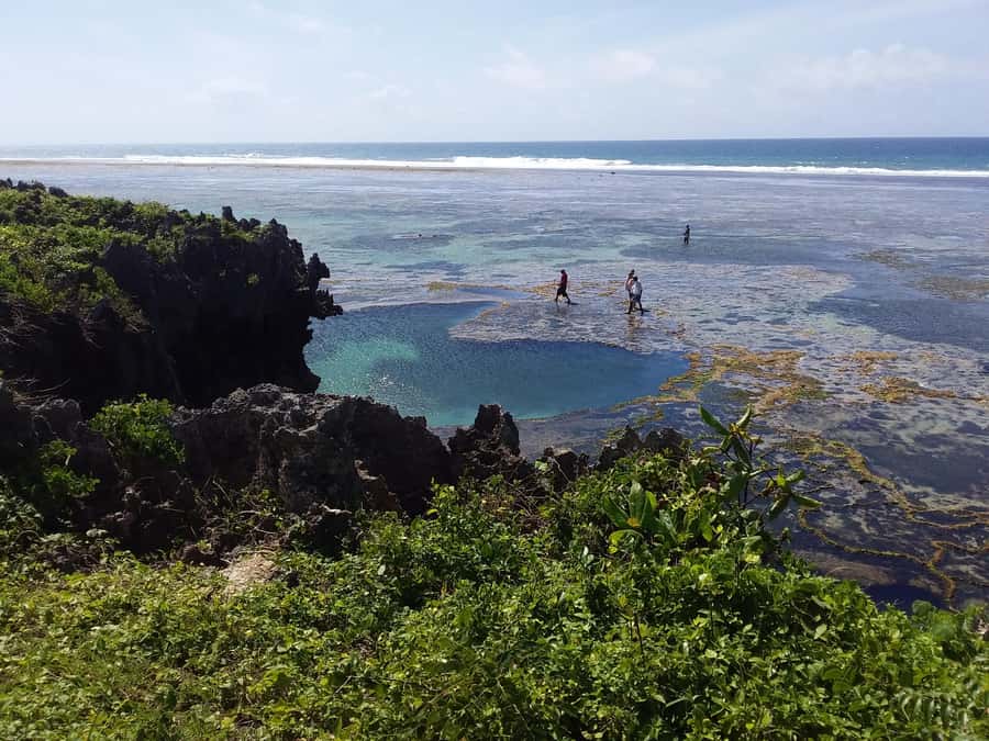 Diani: Snorkeling and Swimming at African Pool in Tiwi Beach - Quick booking advice: should you go?