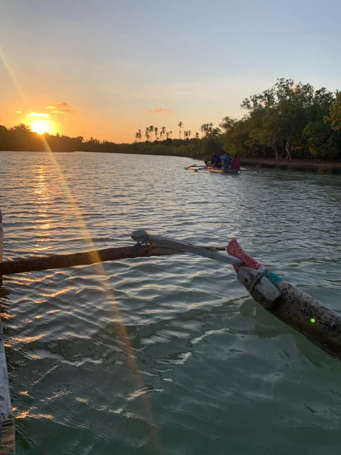 Diani: Sunset Canoe Tour along the River with Mangroves - Why This Sunset Canoe Tour Feels Different in Diani