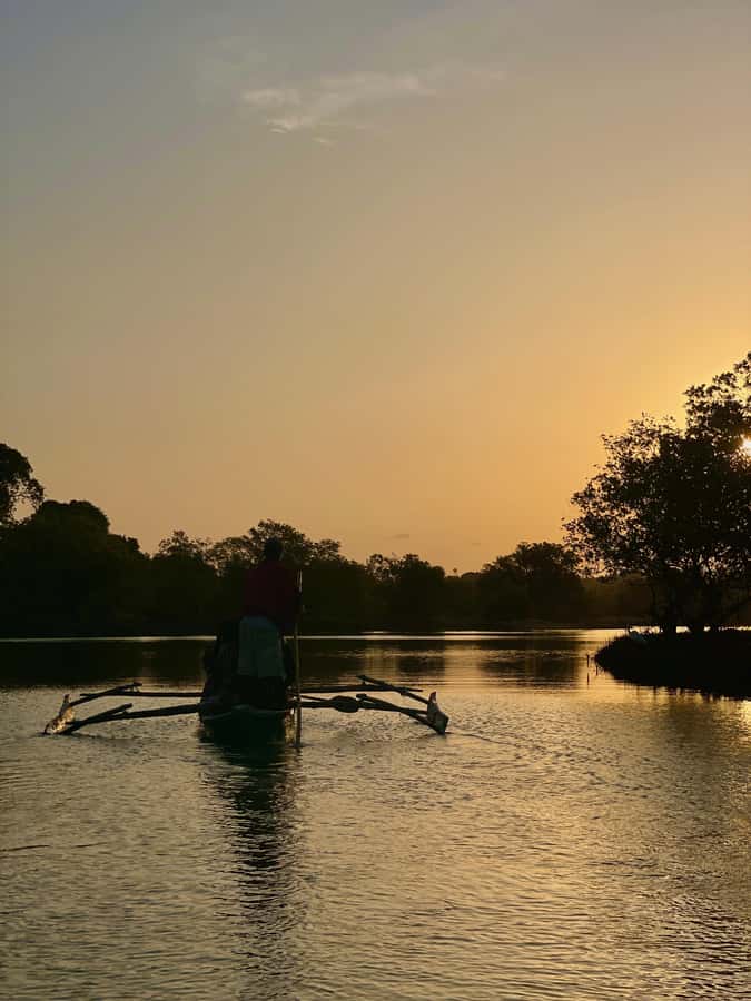 Diani: Sunset Canoe Tour along the River with Mangroves - The First Stretch on Kongo River Beach