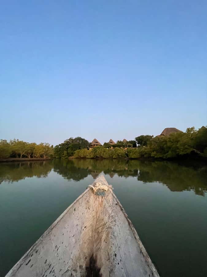Diani: Sunset Canoe Tour along the River with Mangroves - Mangrove Planting, and Why It Changes How You Feel on the Water