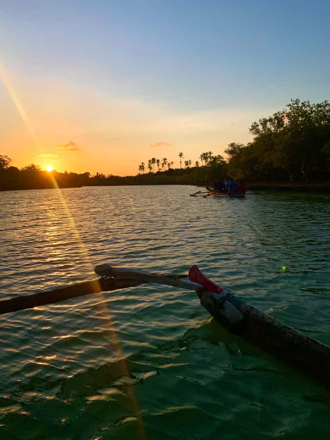 Diani: Sunset Canoe Tour along the River with Mangroves - Price and Value at About $28 Per Person