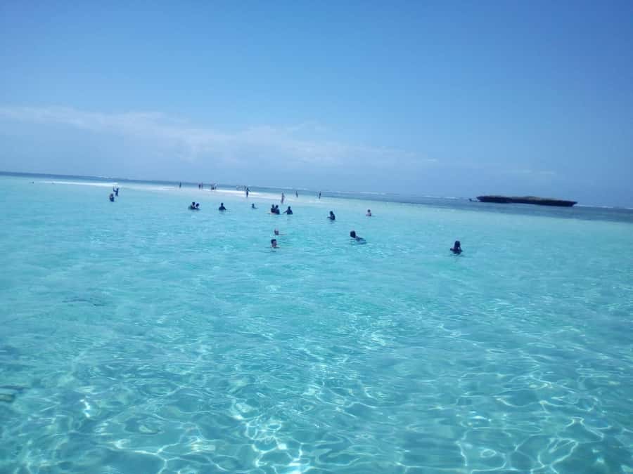 Diani: Wasini Island Dolphin Watching and Snorkeling Tour - Key points before you go
