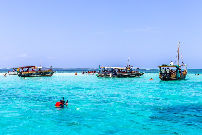 Dolphin Watch & Snorkeling at Kisite Marine Park & Wasini Island - Key highlights to expect