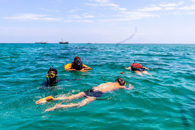 Dolphin Watch & Snorkeling at Kisite Marine Park & Wasini Island - Price and logistics: what the day costs, and where time goes