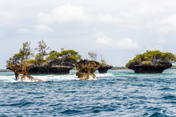 Dolphin Watch & Snorkeling at Kisite Marine Park & Wasini Island - Wasini Womens Group Boardwalk: mangroves and coral gardens, with extra cost