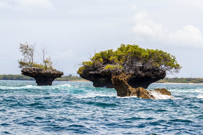 Dolphin Watch & Snorkeling at Kisite Marine Park & Wasini Island - What’s included, what’s not, and where extra costs can pop up