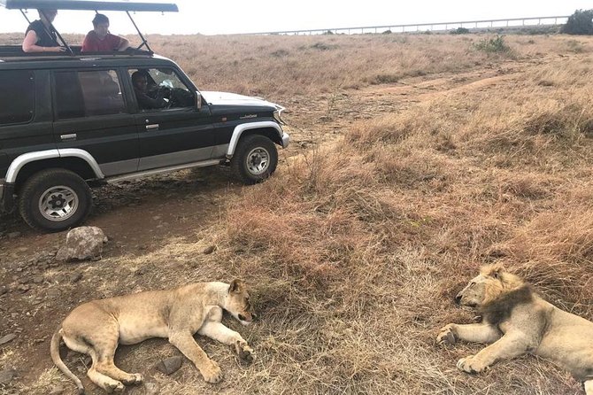 Early Morning Group Joining Mini Safari To Nairobi National Park - Your Custom Safari Car, Pop-Up Roof, and Better Spotting