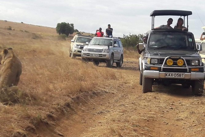 Early Morning Group Joining Mini Safari To Nairobi National Park - A Bird-Friendly Safari: Over 300 Species in One Morning Drive