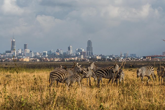 Early Nairobi Park Giraffe Centre and Optional Elephant Orphanage - Optional Baby Elephant Orphanage: Timing, Fees, and the Slot Limit