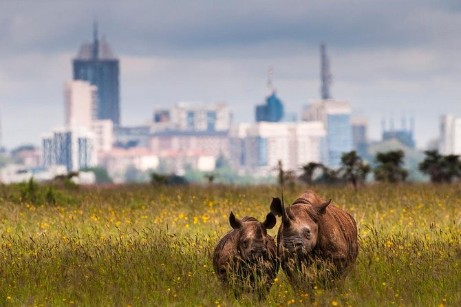 Early Nairobi Park Giraffe Centre and Optional Elephant Orphanage - Price and What Your $155 Covers (And What It Does Not)
