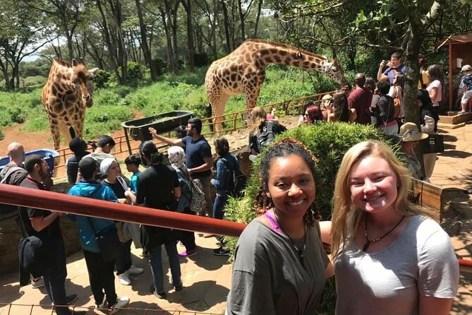 Elephant Orphanage and Giraffe Center Nairobi Day Tour - The elephant orphanage timing: 11:00 am to 12:00 pm matters