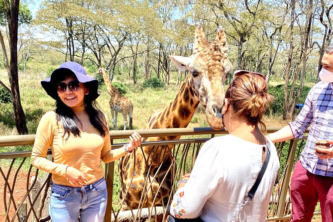 Elephant Orphanage and Giraffe Center Nairobi Day Tour - Safari van or car transport: comfort and sanity for Nairobi routes